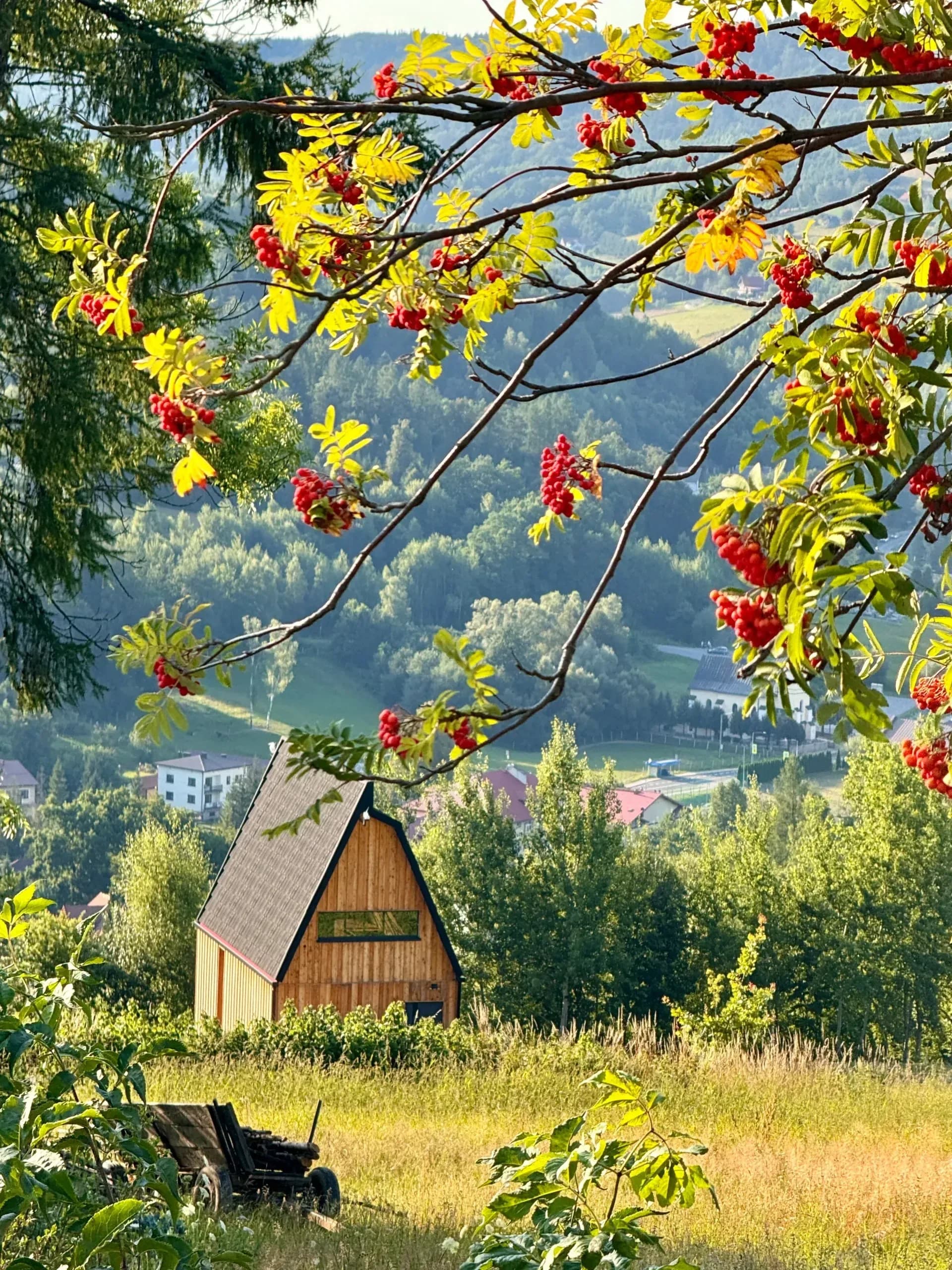 Widok Paleśnica — domek w górach